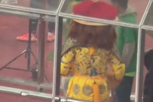 帝都吉祥物！实拍：国安京狮“黄袍加身”庆祝足协杯冠军